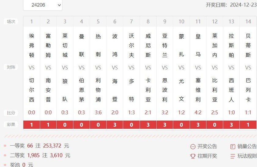 胜负彩第24206期开奖