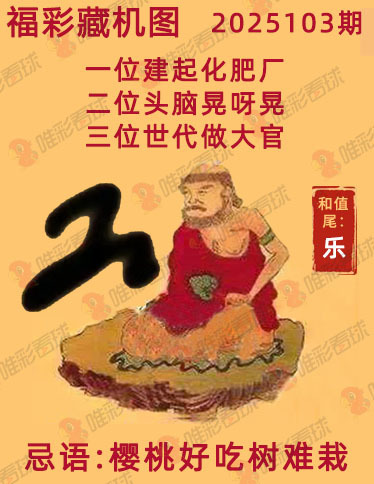 福彩3D藏机图