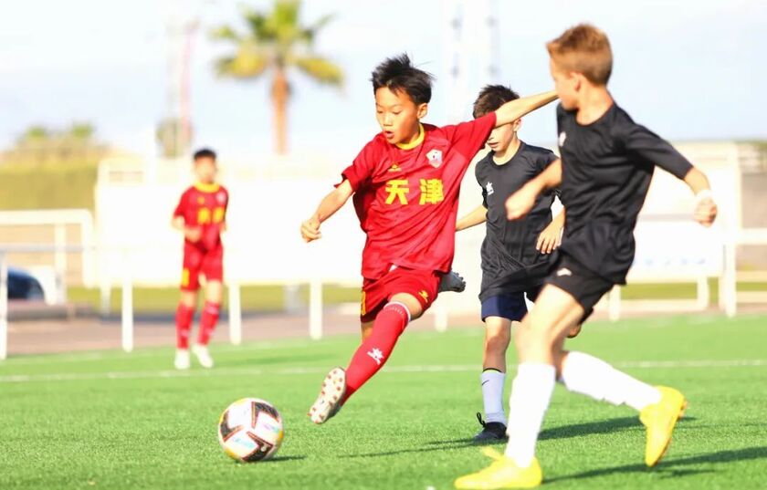 国内青训
