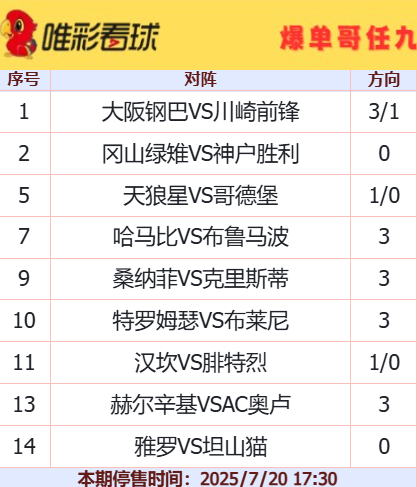爆单哥25102期16元方案