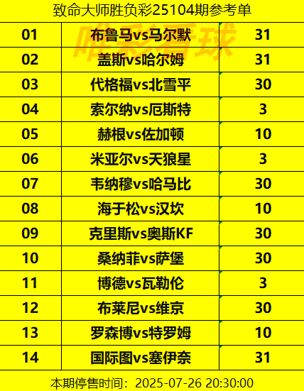 胜负彩251054期