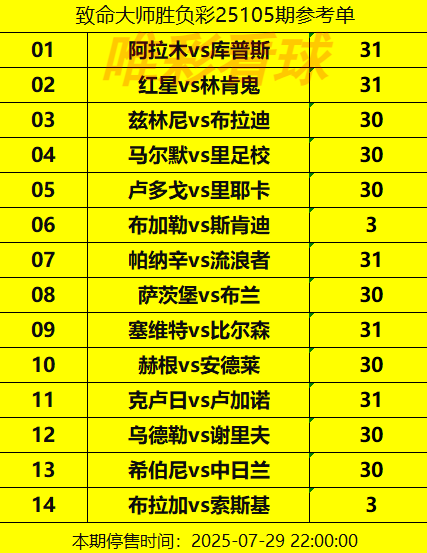 胜负彩250105期