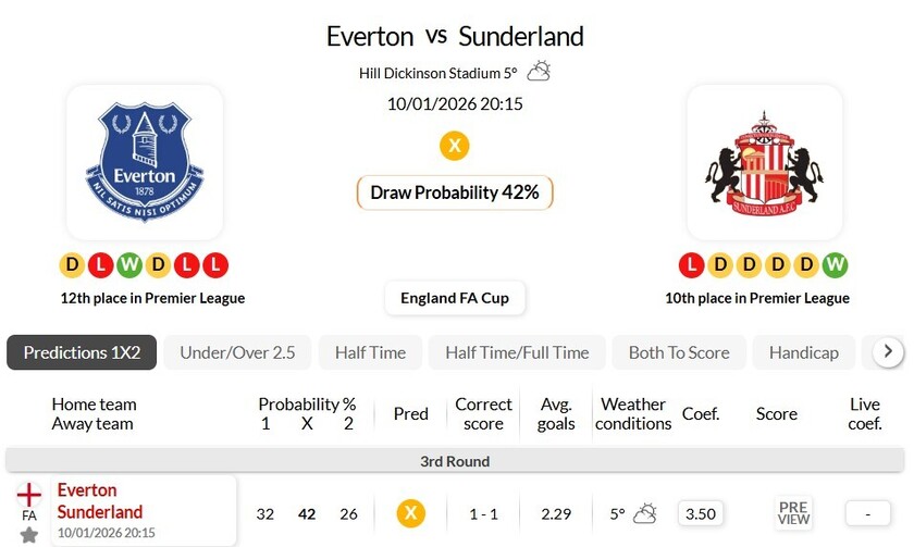 埃弗顿VS桑德兰