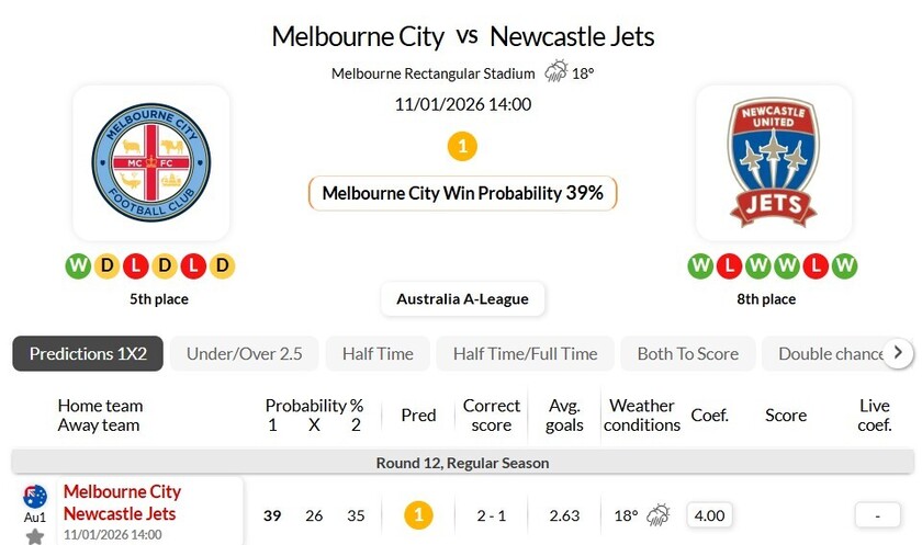 墨尔本城VS纽卡斯尔喷气机