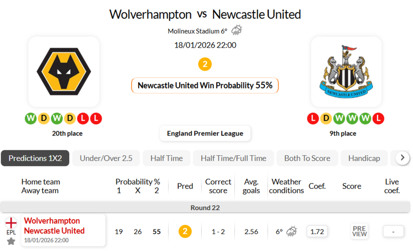 狼队VS纽卡斯尔联