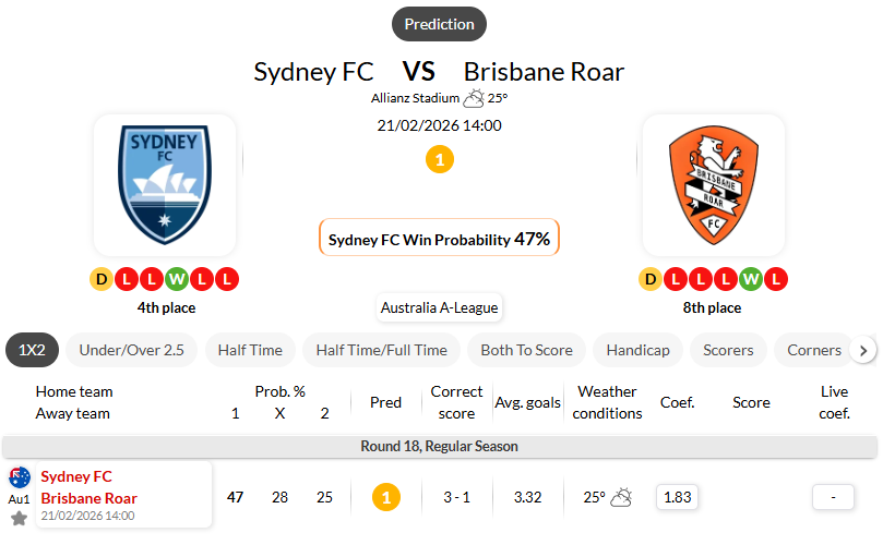 悉尼FCVS布里斯班狮吼
