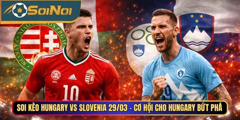 匈牙利VS斯洛文尼亚