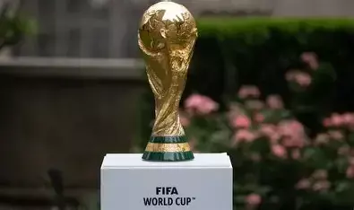 2026年世界杯小组赛D组有哪些球队