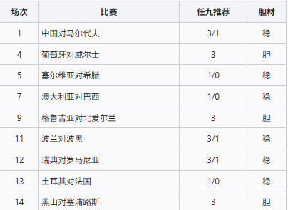 26132期任九