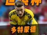 多特蒙德将以tifo引爆世俱杯全场