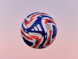 英超有哪支球队参加2025世俱杯