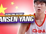 高强度！杨瀚森已经试训7队：篮网、步行者在列