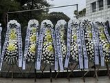 因奇诚庸解约离队，部分首尔FC球迷向俱乐部送花圈