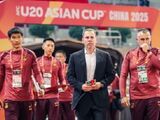临时主帅VS执委智囊：久尔杰维奇的"双轨制"能救国足吗