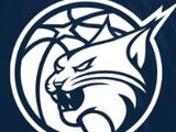 82-69！山猫逆转水星，水星创纪录仍被翻盘