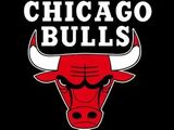 NBA公牛是东部还是西部球队