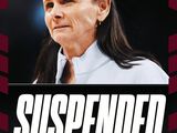 WNBA多伦多主帅因种族歧视言论被禁赛 公开致歉安吉尔·里斯